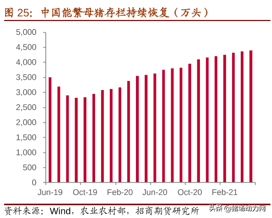 2021養豬業年中盤點：一大(dà)事件，兩大(dà)政策，三大(dà)趨勢