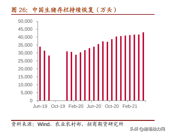 2021養豬業年中盤點：一大(dà)事件，兩大(dà)政策，三大(dà)趨勢