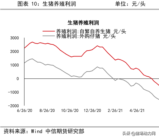 2021養豬業年中盤點：一大(dà)事件，兩大(dà)政策，三大(dà)趨勢